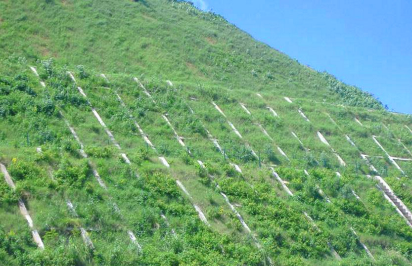 生態護坡技術