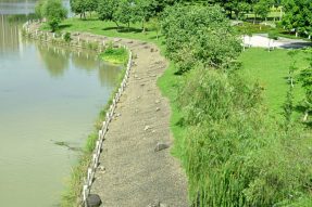 河道生態護坡的植被與水土保持原理