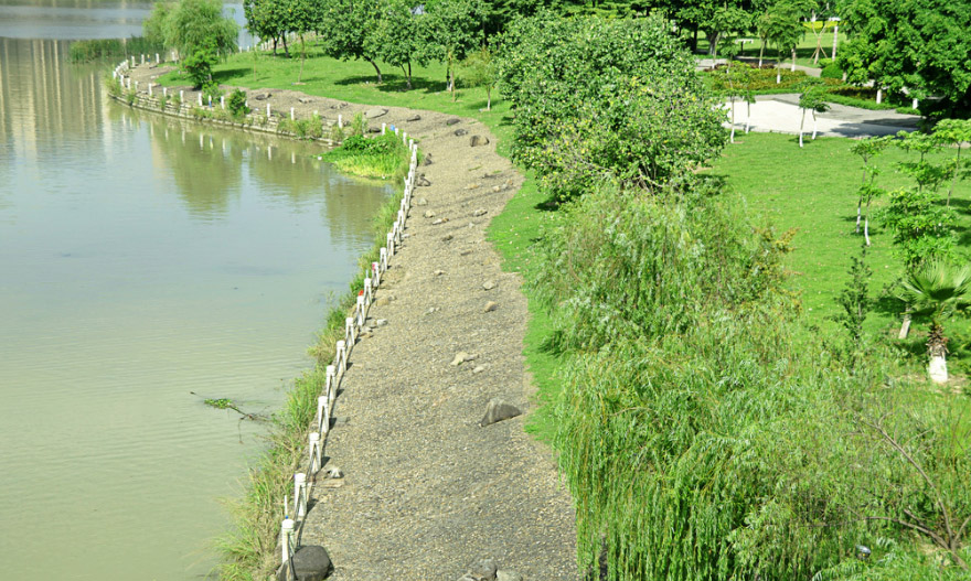 河道生態護坡的植被與水土保持原理